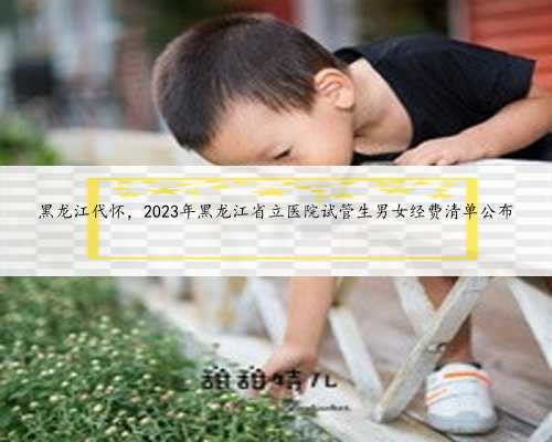 黑龙江代怀，2023年黑龙江省立医院试管生男女经费清单公布