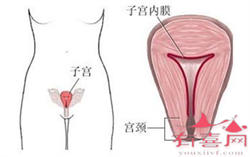 上海寻找助孕公司，助孕咨询：在上海公立医院可以做第三代试管婴儿生双胞胎